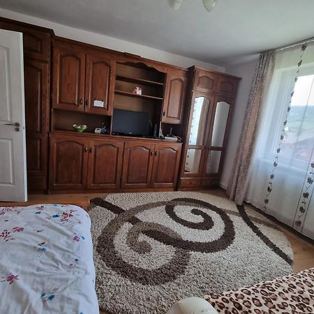 Garsoniera Emilia Apartment Campulung Moldovenesc Exterior photo