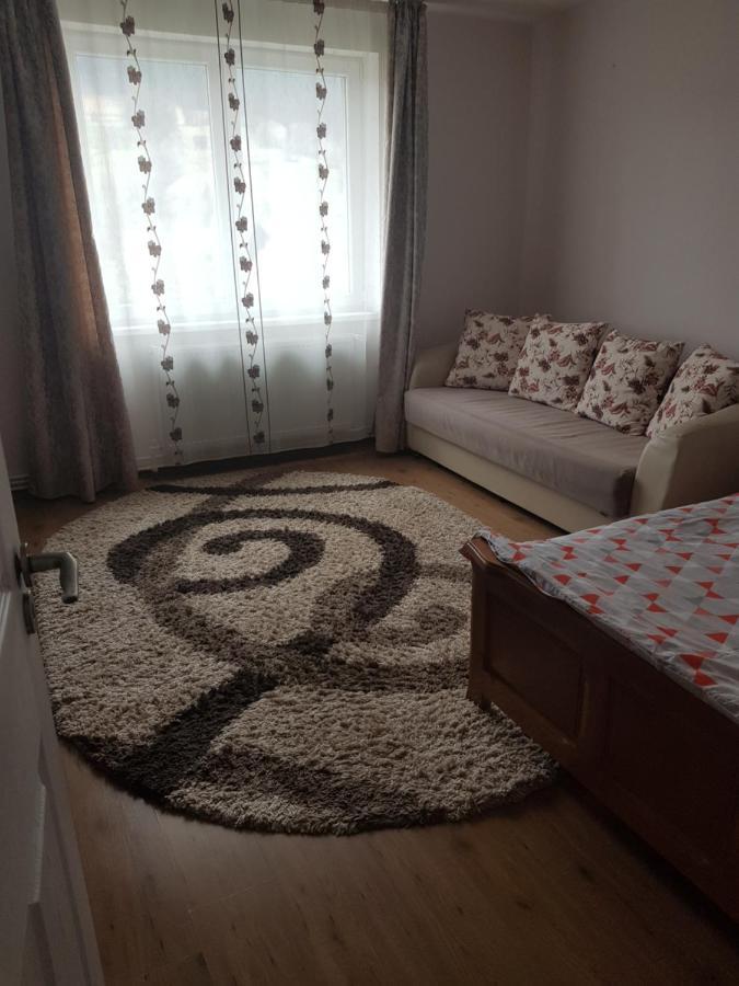 Garsoniera Emilia Apartment Campulung Moldovenesc Exterior photo