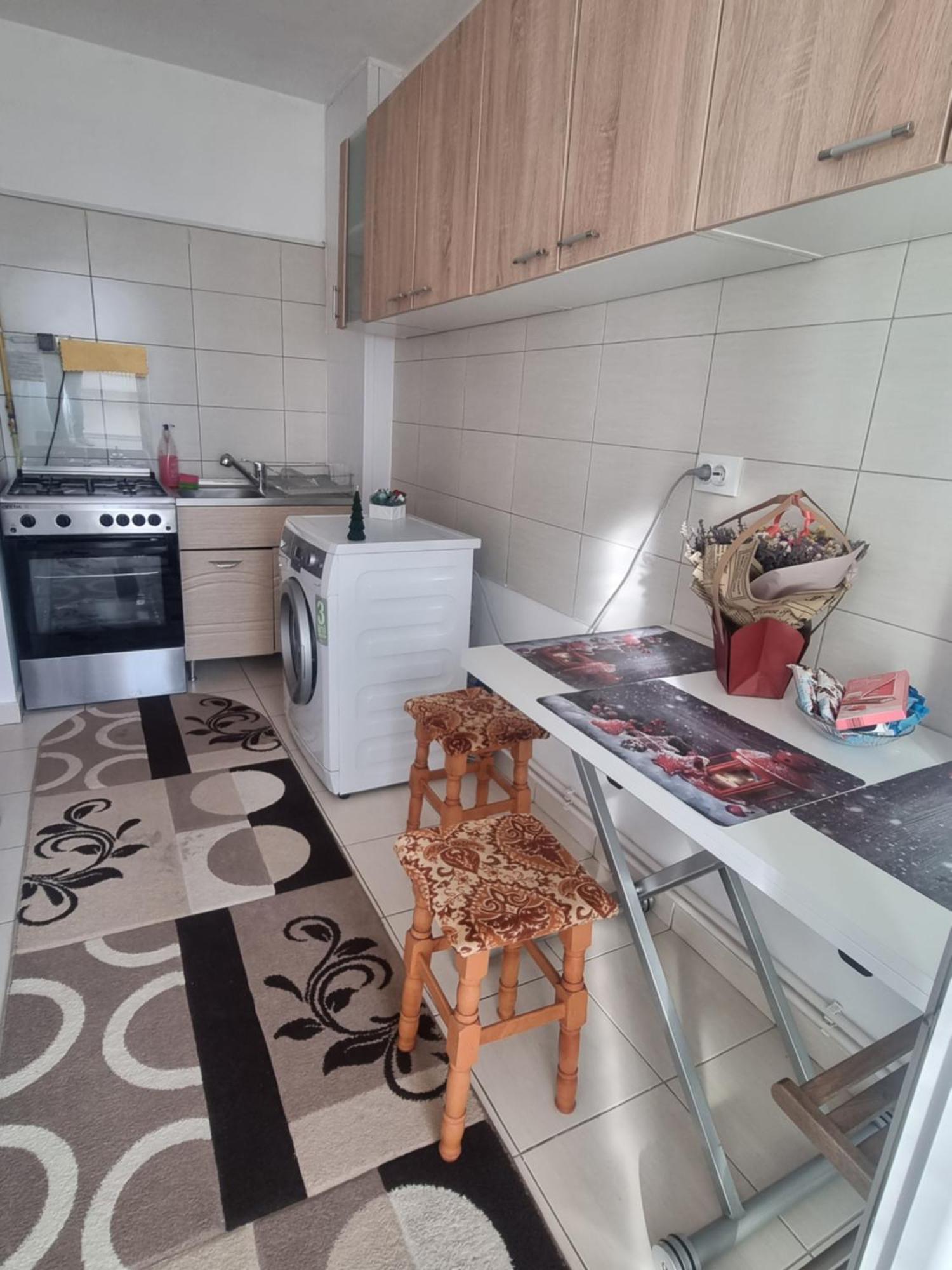Garsoniera Emilia Apartment Campulung Moldovenesc Exterior photo