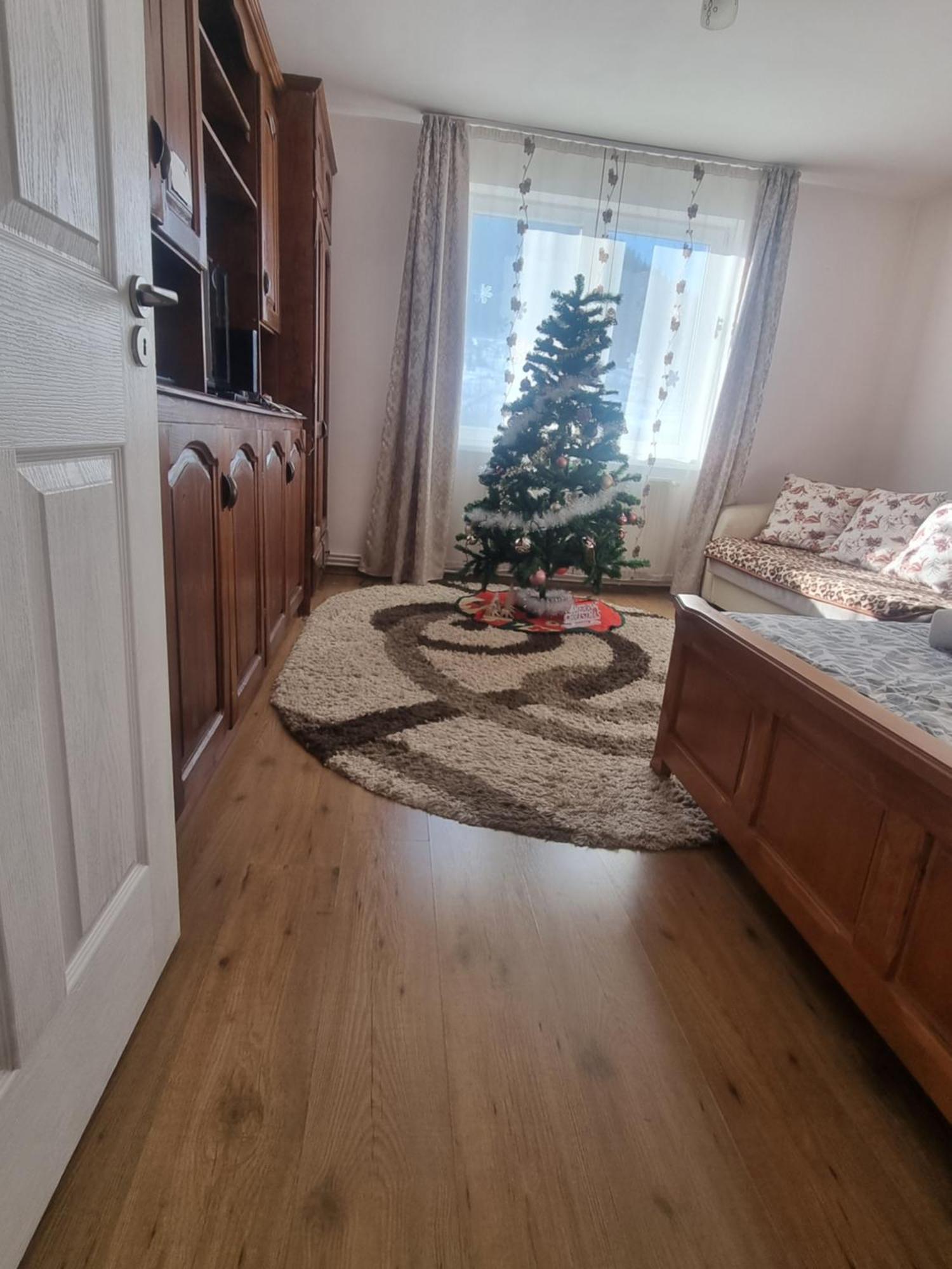 Garsoniera Emilia Apartment Campulung Moldovenesc Exterior photo
